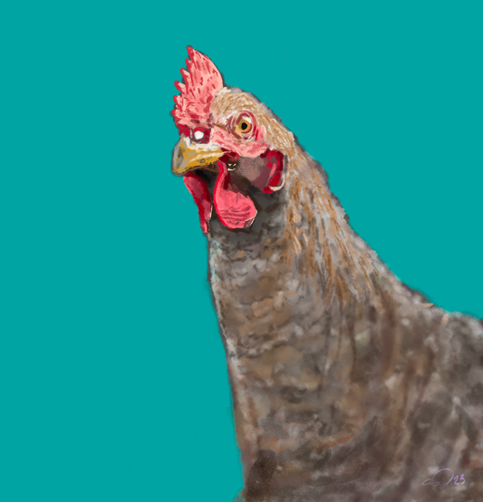 Custom Chicken Portraits